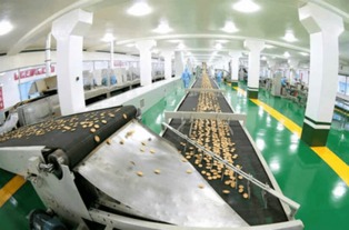 金正恩視察平壤食品工廠，創(chuàng)新設(shè)備彰顯國(guó)家實(shí)力與自豪